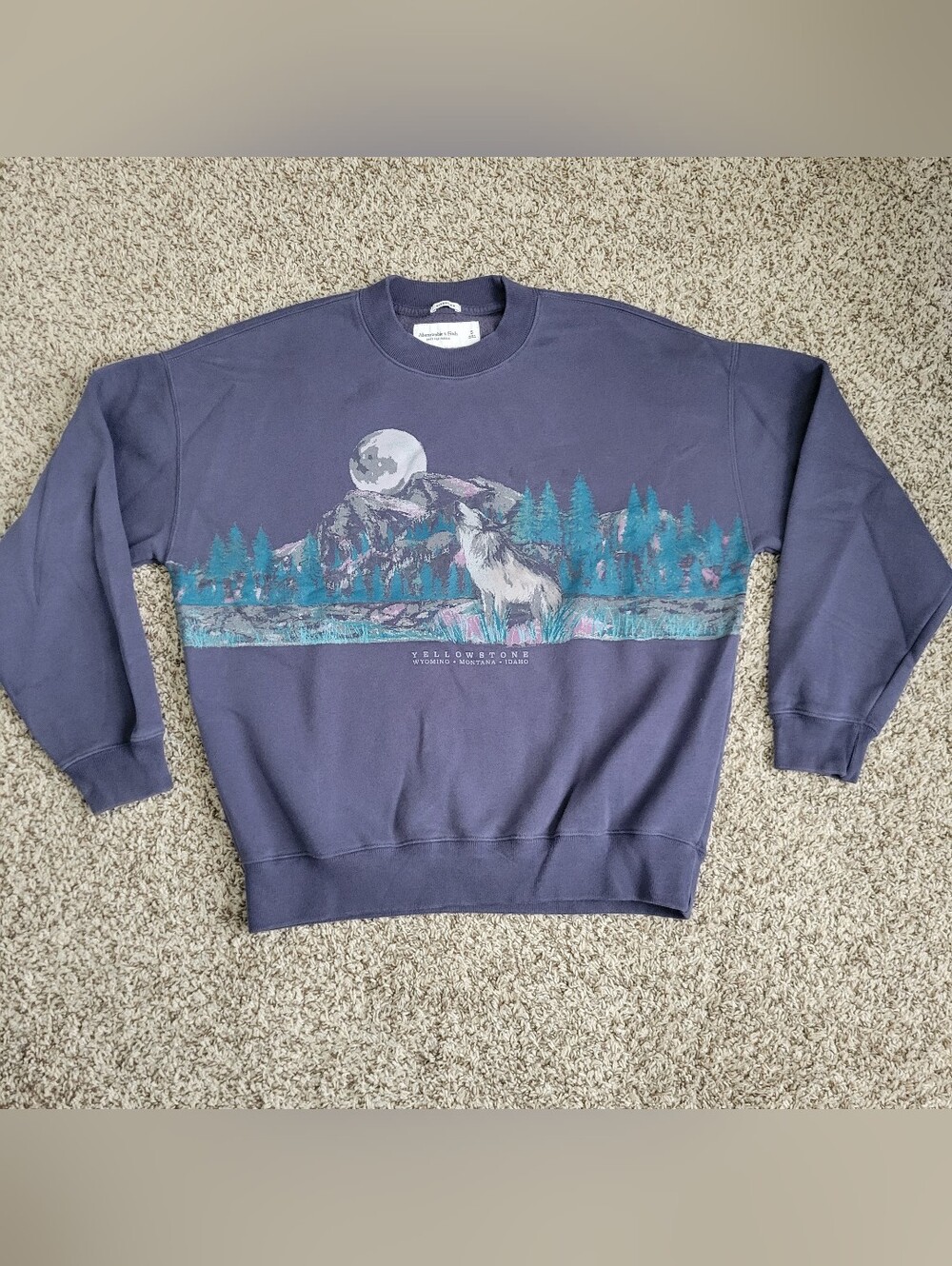 Abercrombie & Fitch Sweatshirt Yellowstone Blue Gray Wolf Oversized Small